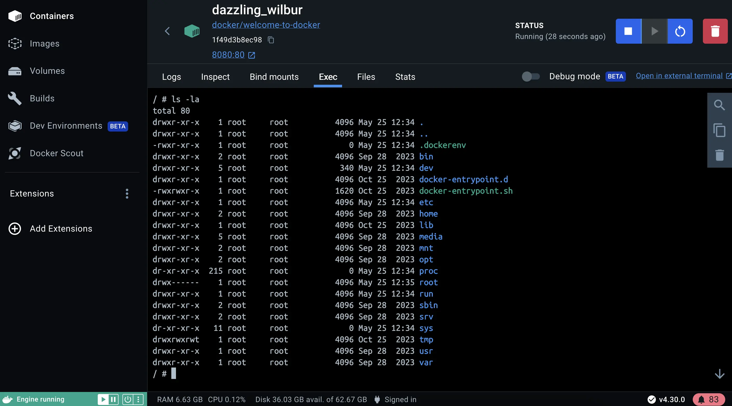 Capture d'écran d'exec dans le conteneur en cours d'exécution dans Docker Desktop